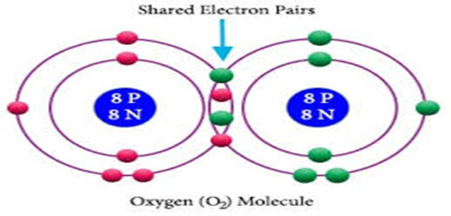 Introduction to Semiconductor - ScriptsView